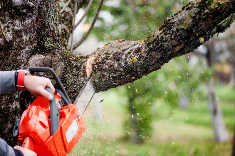 Apple Tree Removal in Duluth, MN