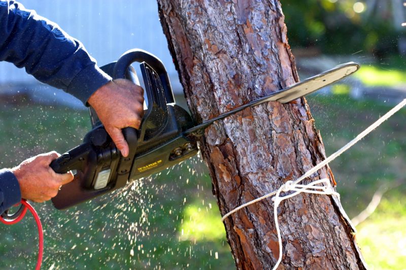 Tree Removal Service in Montgomery County, PA