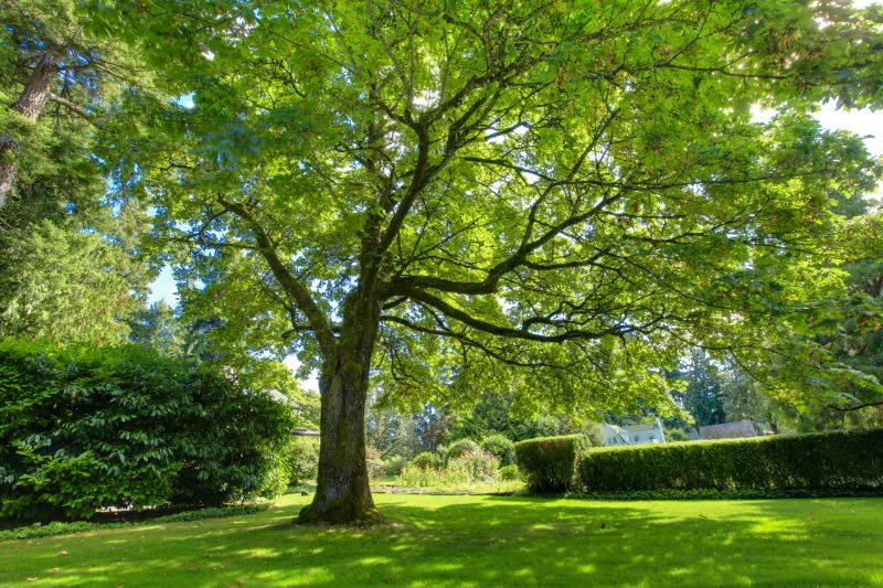 Minimizes Property Damage!