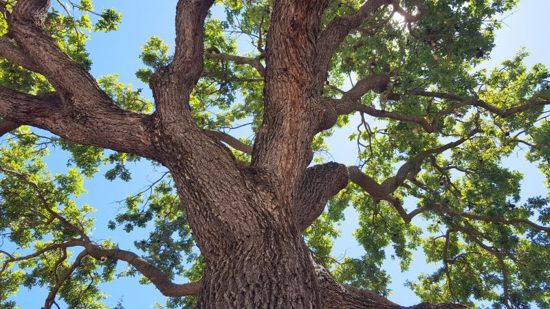 Swift Response to Hazardous Situations!